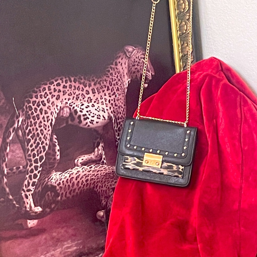 Handbag